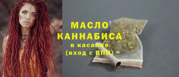 гидра Богданович