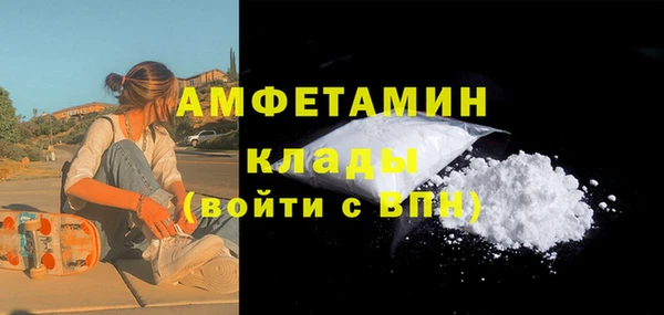 гидра Богданович