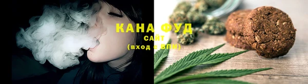 шишки Сатка