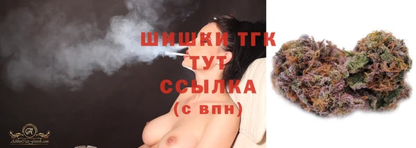 шишки Сатка