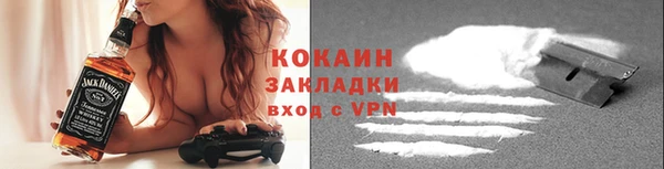 шишки Сатка