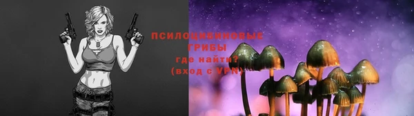 твердый Богородицк