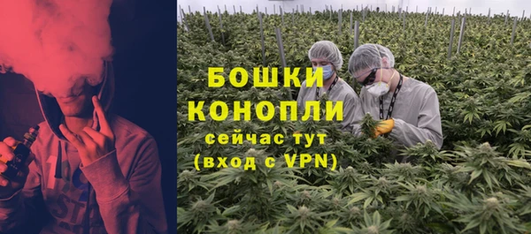 гидра Богданович