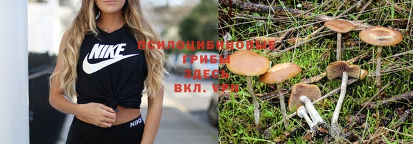 твердый Богородицк