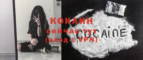 гидра Богданович