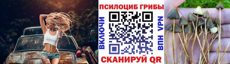 Псилоцибиновые грибы мухоморы хочу наркоту Чухлома